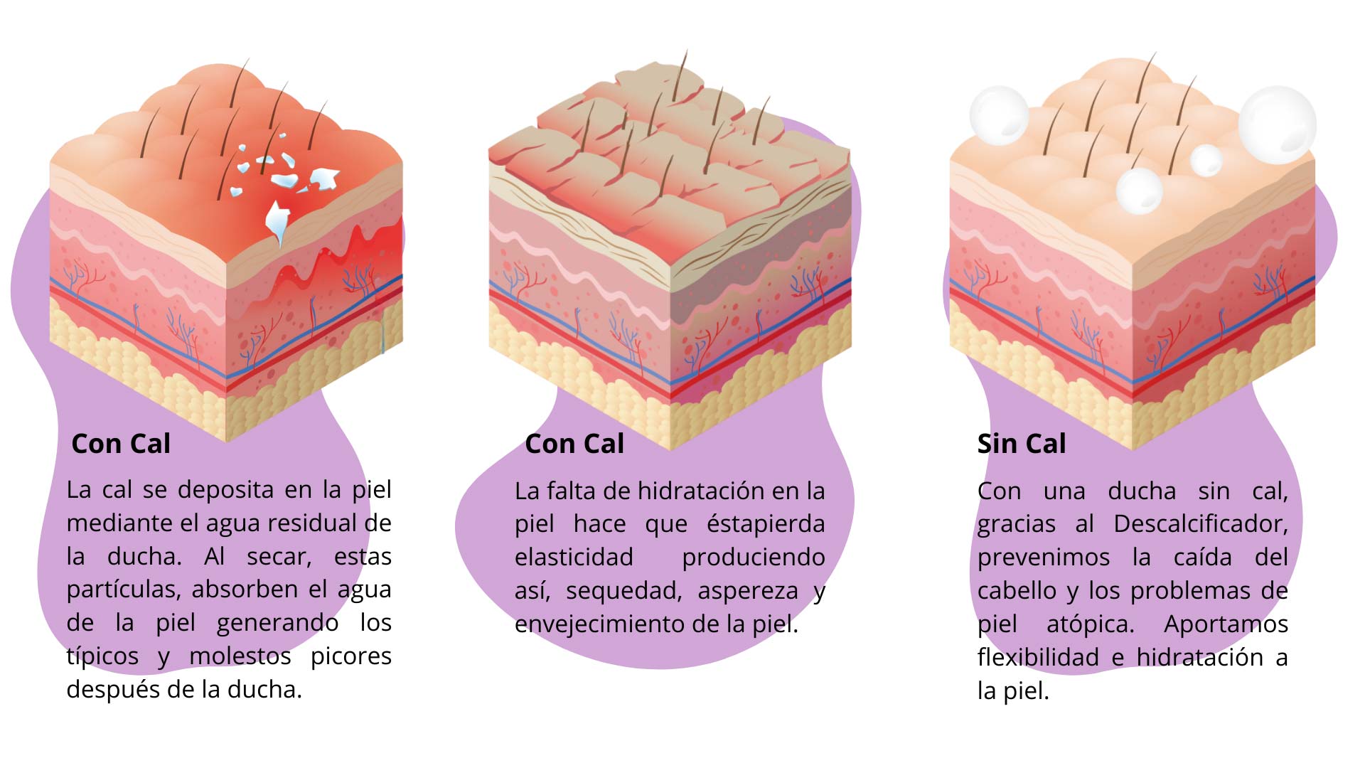 Beneficios Pure Black 2